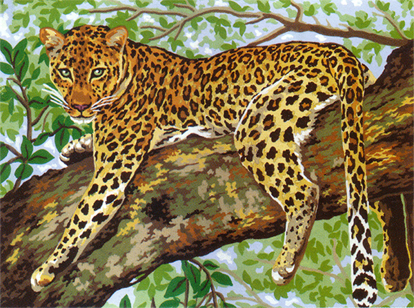 Leopard  - Collection d'Art Needlepoint Canvas