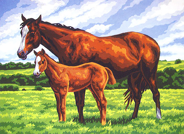 Mare and Colt  - Collection d'Art Needlepoint Canvas