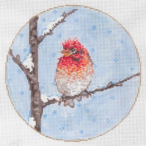 Lil' Chipper - Stitch Painted Needlepoint Canvas from Sandra Gilmore