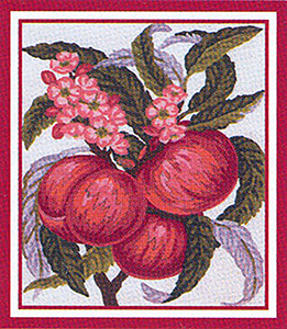 Peaches  - Collection d'Art Needlepoint Canvas