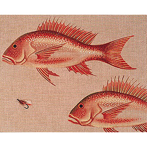 Leigh Designs - Hand-painted Canvases - Red Snapper & Fly Canvas