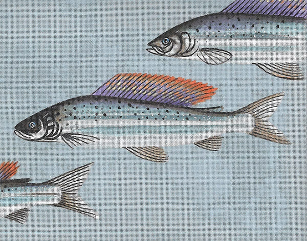 Leigh Designs - Hand-painted Needlepoint Canvases - Arctic Char Canvas