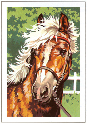 SEG de Paris - Small Canvases - Pony Canvas
