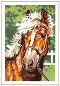 SEG de Paris - Small Canvases - Pony Canvas