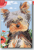 SEG de Paris - Small Canvases - Petit York Canvas (The Little Yorkie)