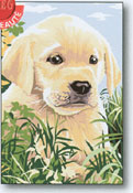 SEG de Paris - Small Canvases - Petit Labrador Canvas