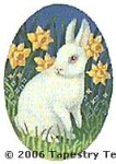 Bunny & Daffodils