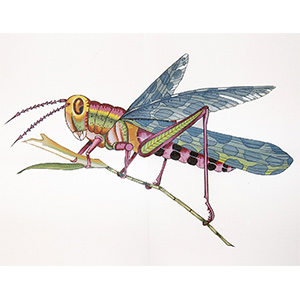 Large Grasshopper - Hand-Painted Needlepoint Tapestry Canvas from Trubey Designs