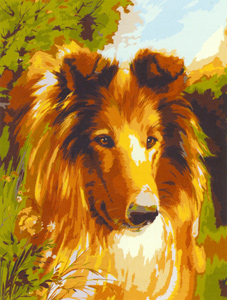 Collie  - Collection d'Art Needlepoint Canvas