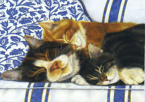 Sleeping Buddies  - Collection d'Art Needlepoint Canvas