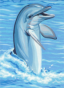 Royal Paris Dolphin Canvas