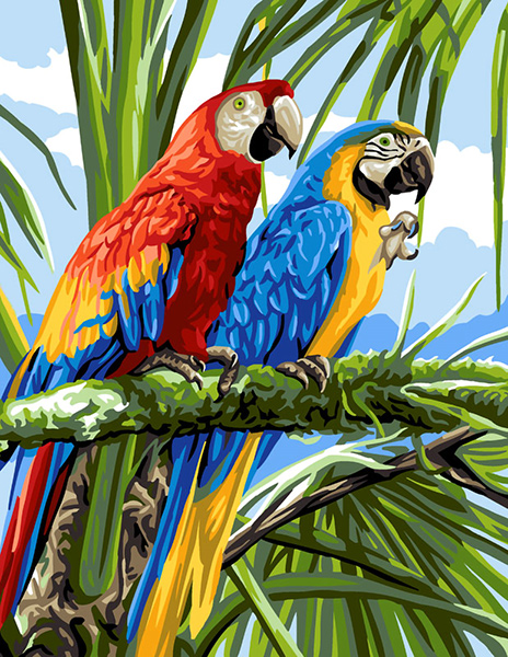 Royal Paris Needlepoint Les Macaws