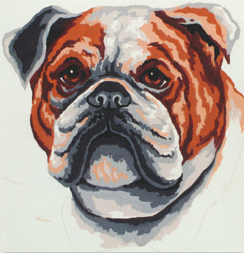 Bulldog  - Collection d'Art Needlepoint Canvas