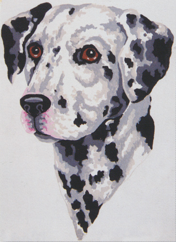 Dalmatian - Collection d'Art Needlepoint Canvas