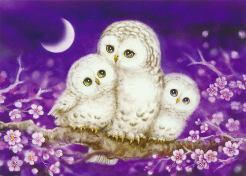 Owl Family  - Collection d'Art Needlepoint Canvas