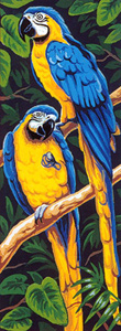 Margot Creations de Paris Needlepoint - Les Aras Jaunes (The Yellow Macaws) (Blue and Gold Macaws)