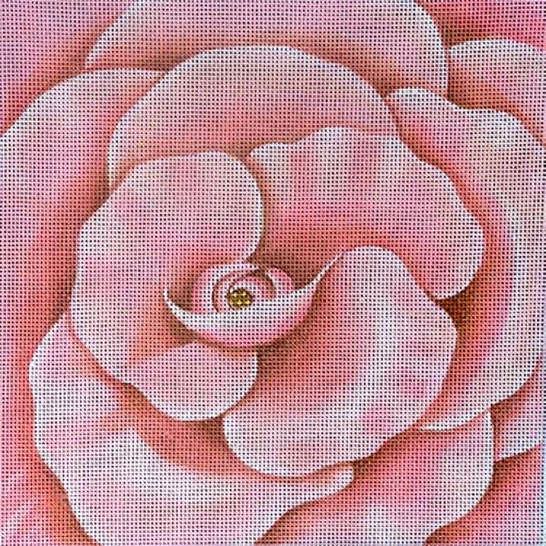 Leigh Designs - Hand-painted Needlepoint Canvases - Bouquet - Pink Camellia