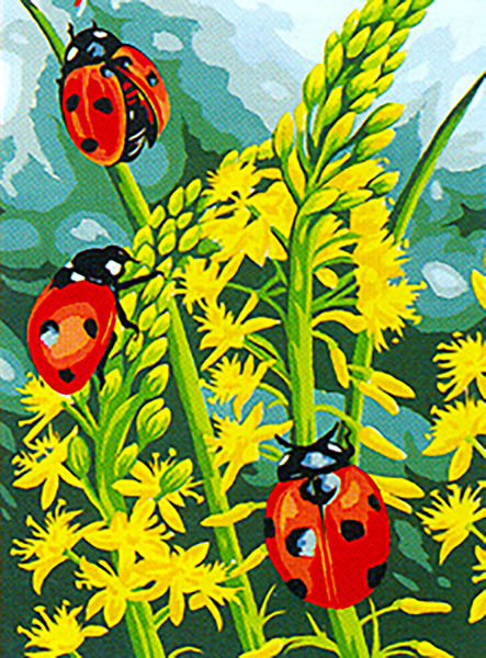 Margot Creations de Paris Needlepoint (Coccinelles) Lady Bugs Small Canvas