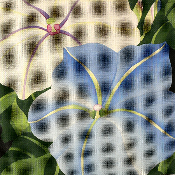 Giant Morning Glories - Hand Painted Needlepoint Canvas from dede's Needleworks