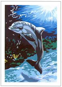 SEG de Paris Needlepoint - Dolphin Canvas