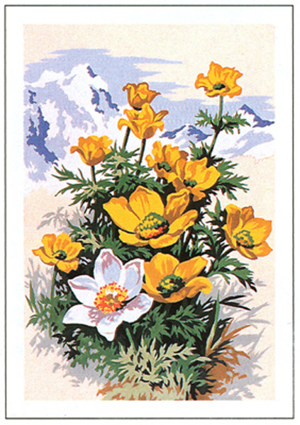 SEG de Paris Needlepoint - Mountain Flowers Canvas