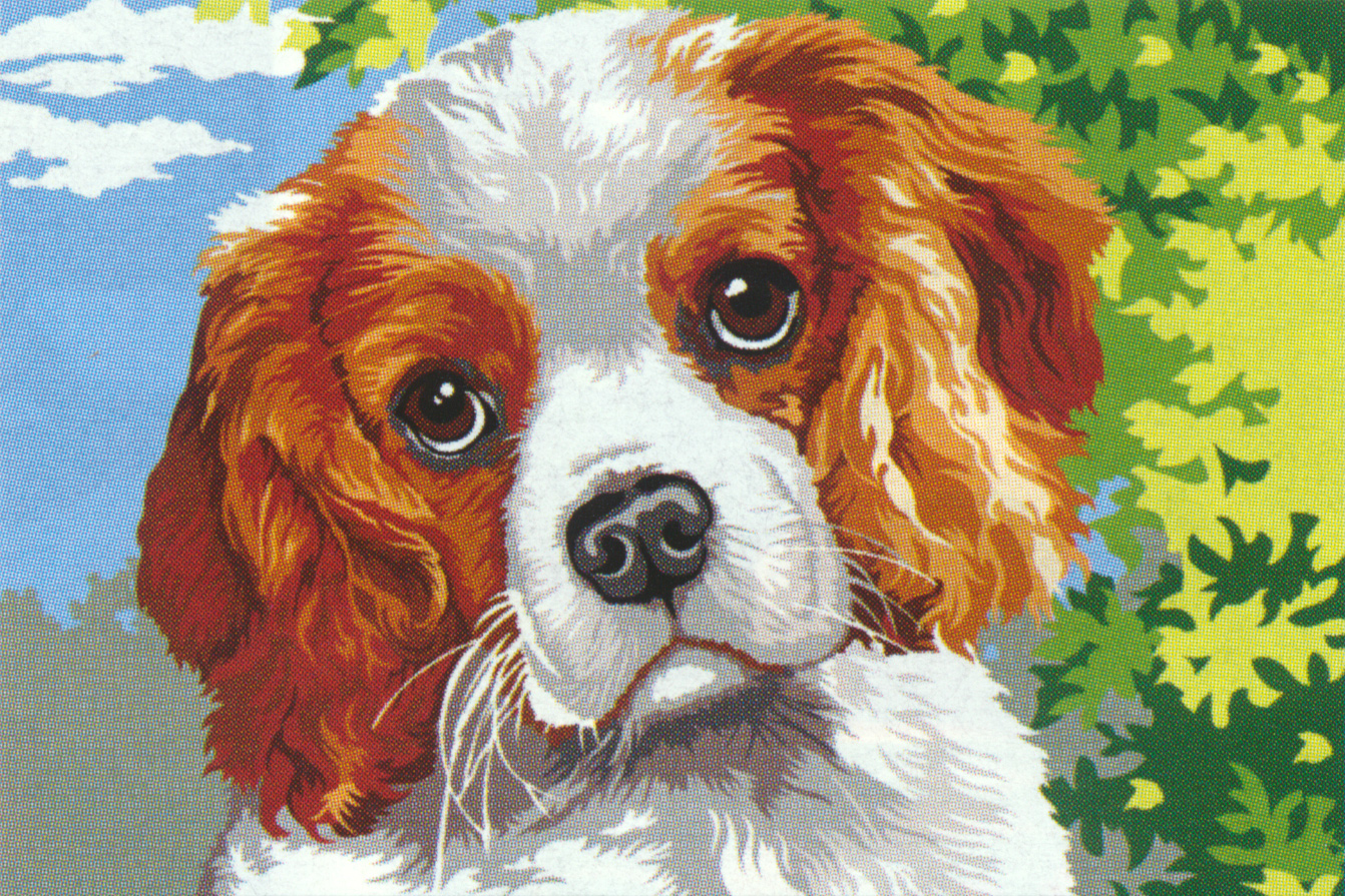 NeedlepointUS: SEG de Paris Needlepoint - Tendresse, Small, S928-342