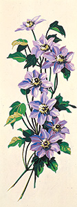 SEG de Paris Needlepoint - Purple Flowers