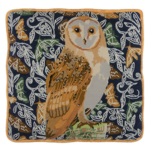 Celia Lewis - Barn Owl Needlepoint Kit