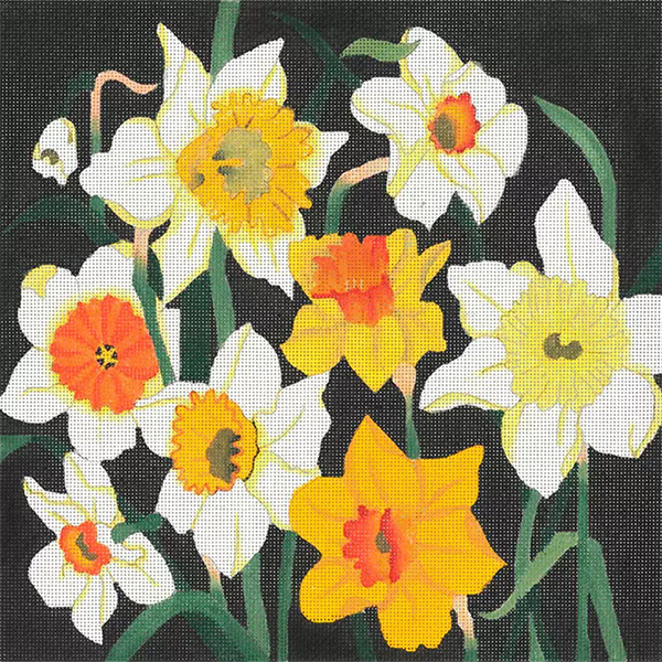 Giant Narcissus- Hand Painted Needlepoint Canvas from dede's Needleworks