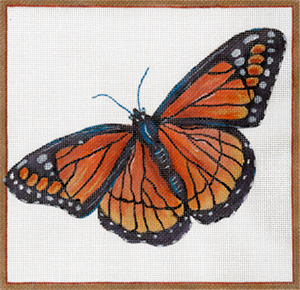 Viceroy Butterfly by Sharon G