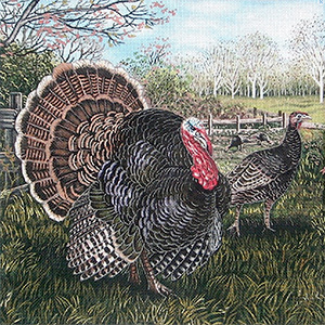 Liz Goodrick-Dillon Hand Painted Needlepoint - Turkeys