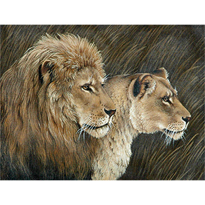 Lion Couple hand painted design by Liz Goodrick-Dillon