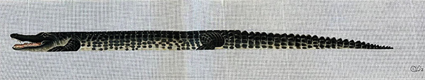 Hand Painted Needlepoint Belt Canvas from Liz Goodrick-Dillon - Dragon
